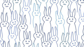 Lapin Lapin Stans
